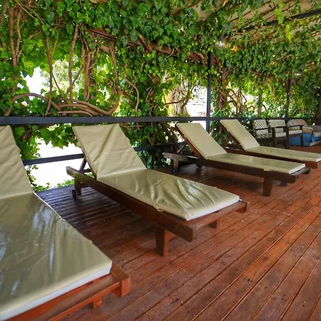 يوسيل فتحية